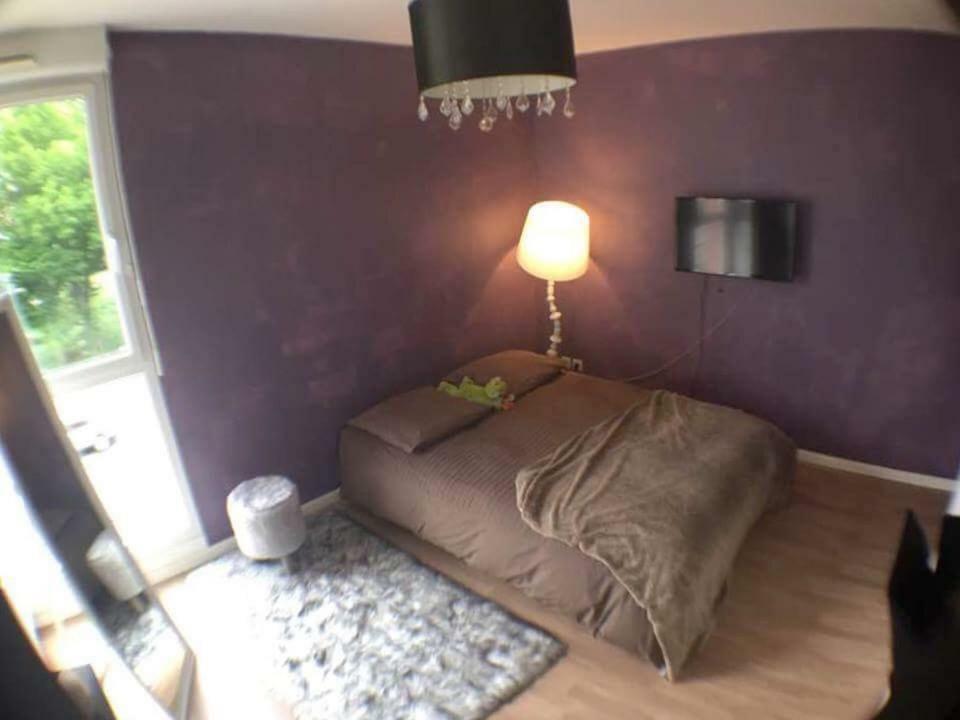 Le Topaze Apartment Colmar Ngoại thất bức ảnh