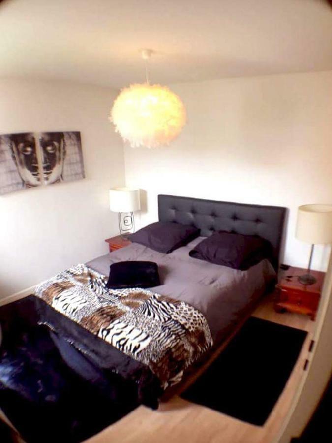 Le Topaze Apartment Colmar Ngoại thất bức ảnh